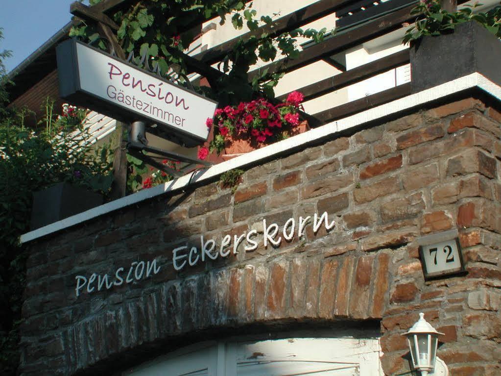 Haus Uebernachtenswert Cochem Mosel Bagian luar foto